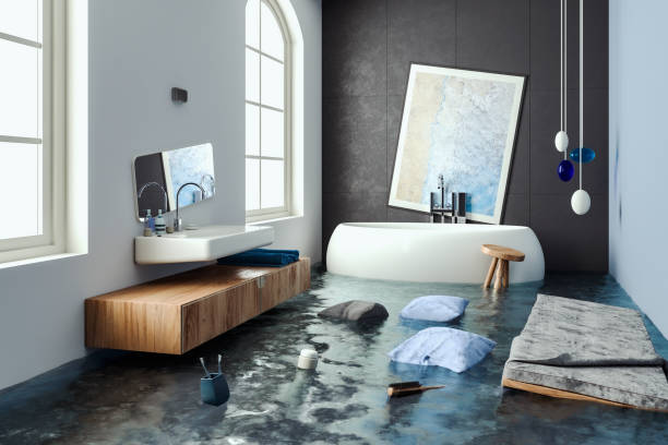 Best 24-hour water damage restoration  in Coon Rapids, MN