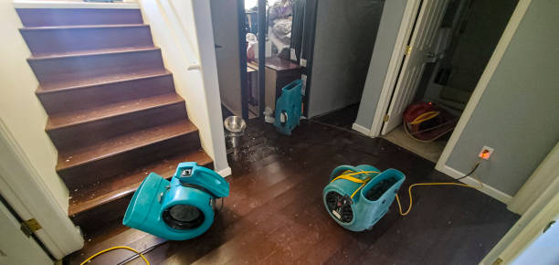 Reliable Coon Rapids, MN Water damage restoration Solutions