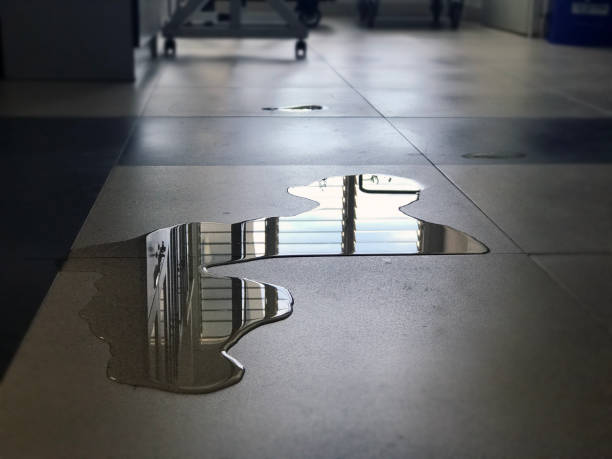 Best Water damage contractors near me  in Coon Rapids, MN